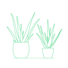 Plants Indoor Plants Aloe Vera Craft Design Svg File, Free Vectors File